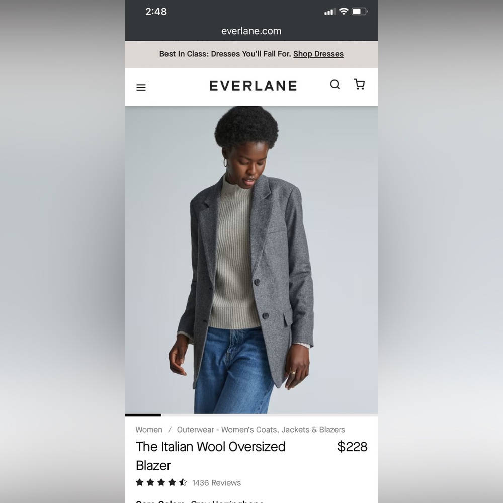 Everlane The Italian Wool Oversized Blazer herringbone size 8